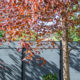 Modern Composite Horizontal Privacy Fence and Gate with Aluminum Posts and Rails